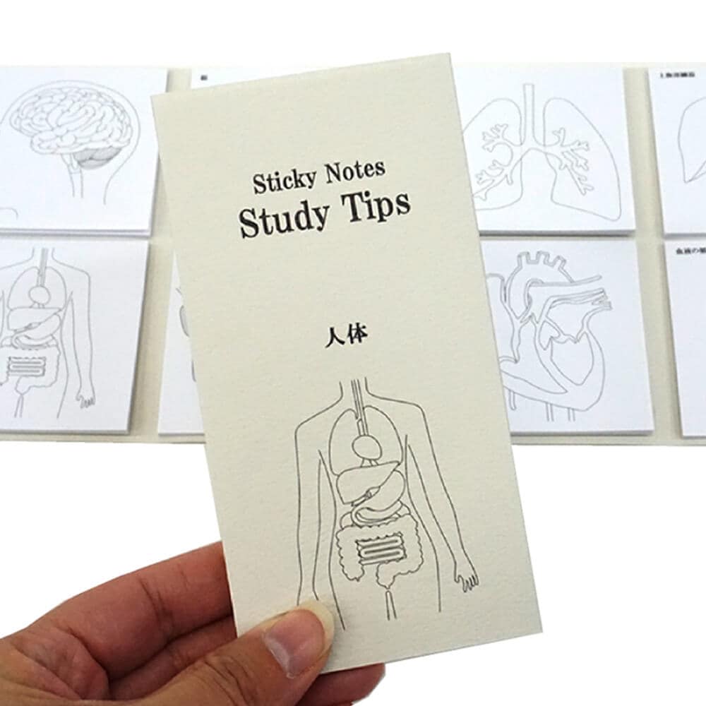 人体ふせん Sticky Notes Study Tips 紙季彩々