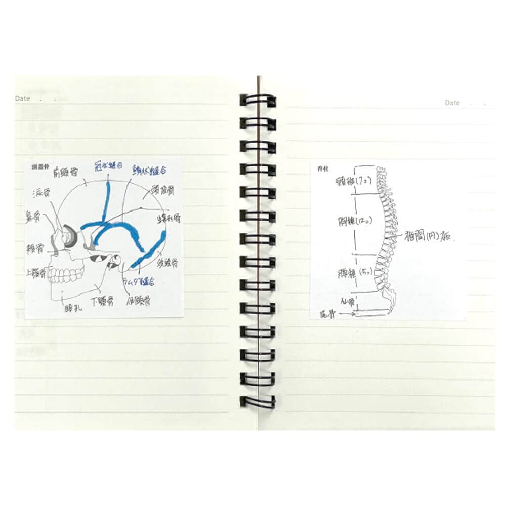 人体ふせん Sticky Notes Study Tips 紙季彩々