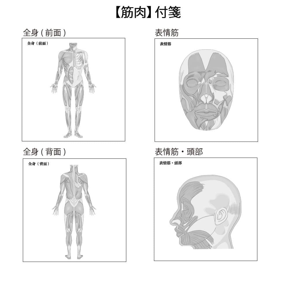 【筋肉】付箋