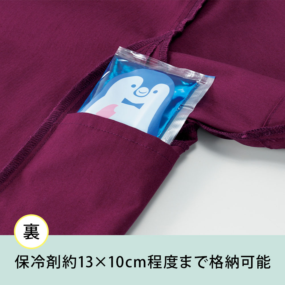 保冷剤約13×10cm程度まで格納可能