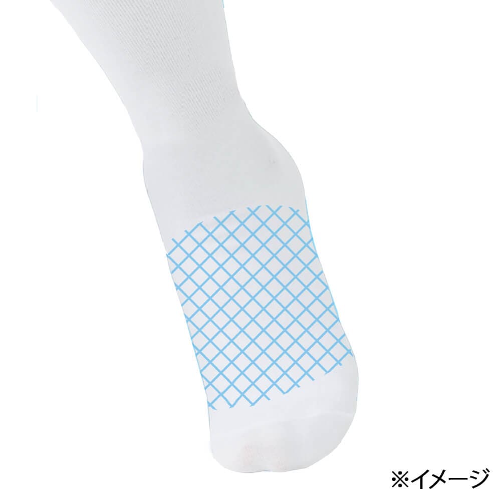 甲メッシュ　※イメージ